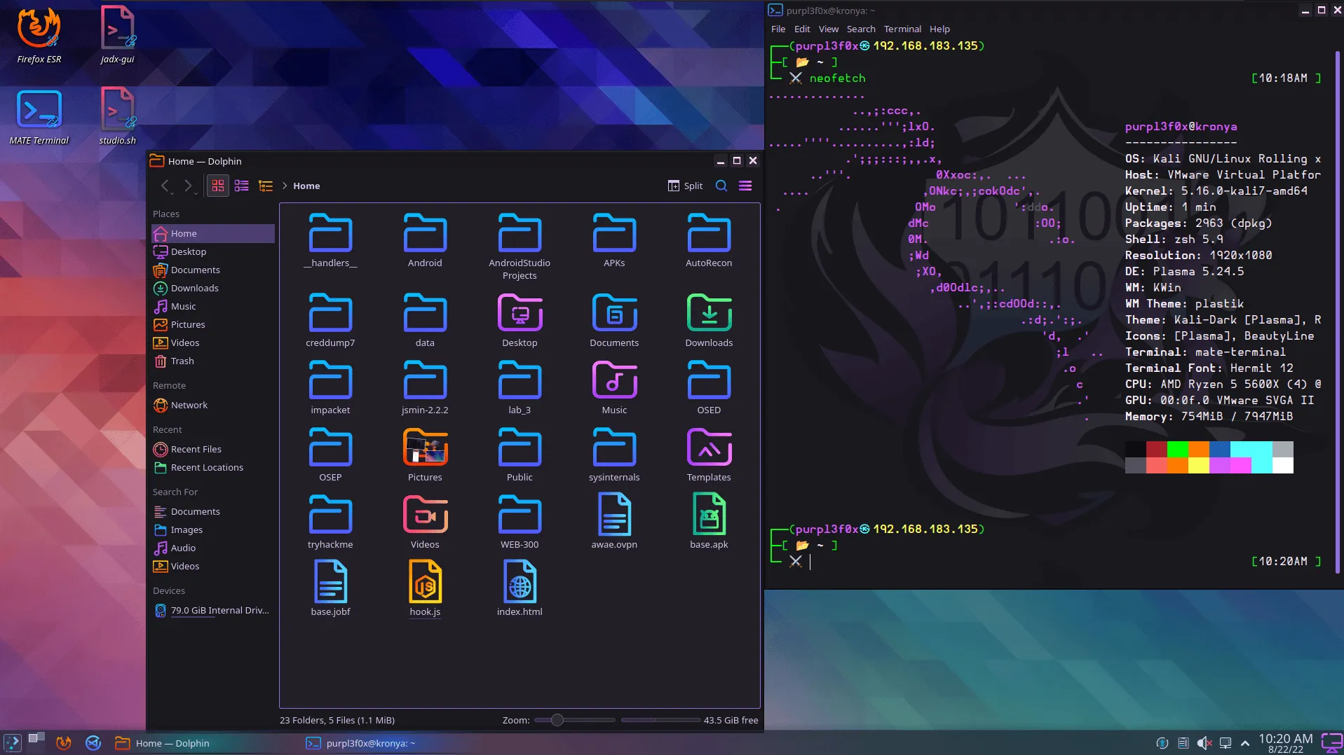 Kali Linux: La Piattaforma Definitiva per la Sicurezza Informatica